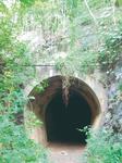 13-tunel-da-samambaia_albanisa-assuncao.jpg