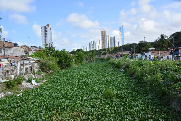 Principais rios urbanos da capital estão poluídos e em situação crítica