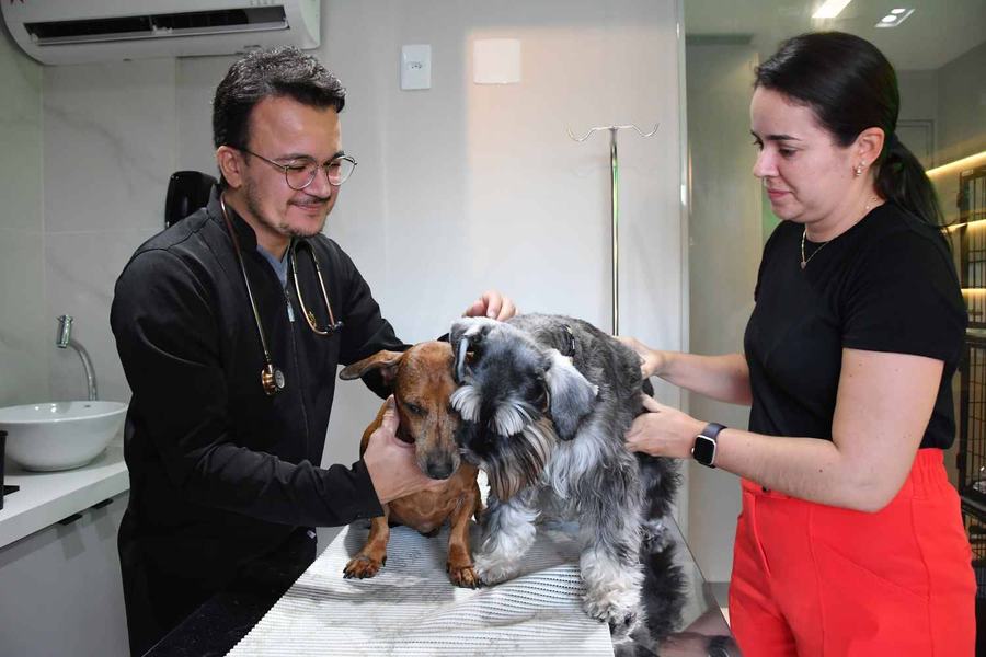 2023-12-01_pets-calor-c-roberto-guedes-233.jpg