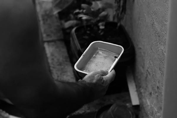 Paraíba tem mais de 13 mil casos de dengue