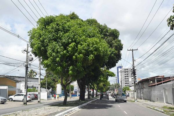 João Pessoa vai ter reforço no monitoramento