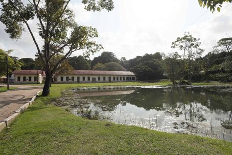 2024-07-29-jardim-botanico-c-carlos-rodrigo-18.jpg