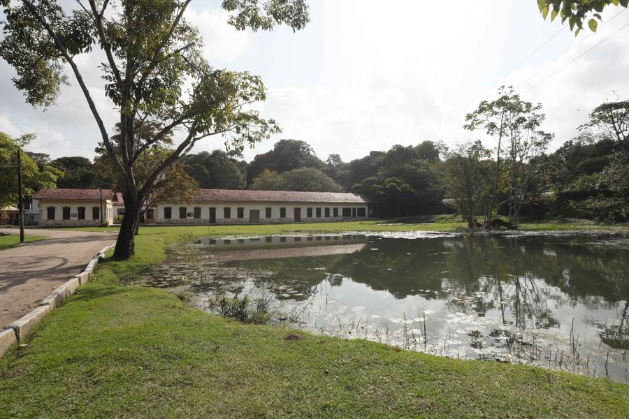 2024-07-29-jardim-botanico-c-carlos-rodrigo-18.jpg