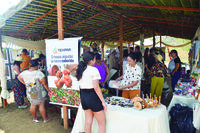 2024-09-13-colheita-do-algodao-c-carlos-rodrigo-33-_editada.jpg