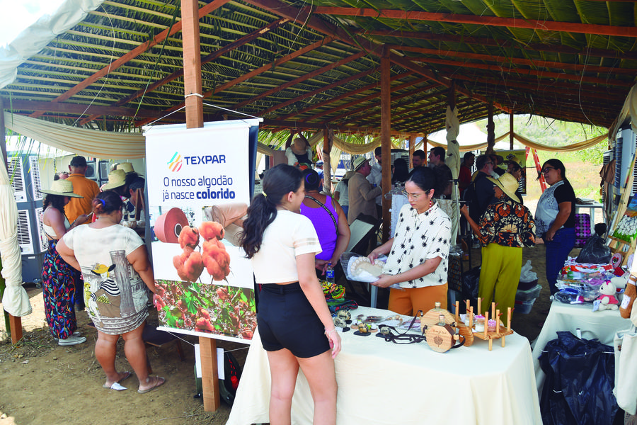 2024-09-13-colheita-do-algodao-c-carlos-rodrigo-33-_editada.jpg