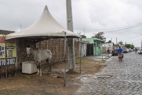 2025-019-02-objetos-nas-calcadas-c-leonardo-ariel-2.jpg