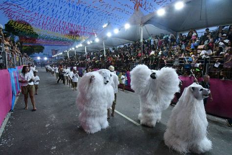 2025-03-04-carnaval-tradicao-c-carlos-rodrigo-153.jpg