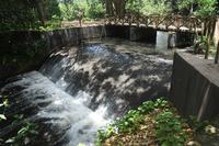 2025-09-18_rio-jaguaribe_ponte-jardim-botanico-c-roberto-guedes-75.jpg