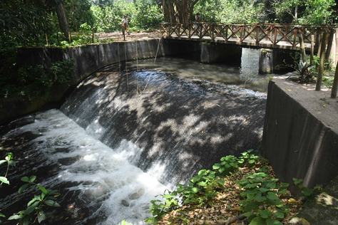 2025-09-18_rio-jaguaribe_ponte-jardim-botanico-c-roberto-guedes-75.jpg