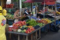 2025-10-14-dia-da-alimentacao-c-carlos-rodrigo-98.jpg