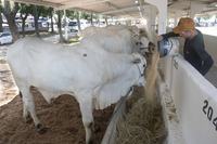 2025.09.12MontagemExposioParabaAgronegcios2025LeonardoAriel3.JPG