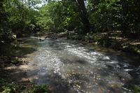 2025.09.18_RioJaguaribe_pontejardimbotanicoRobertoGuedes72.JPG