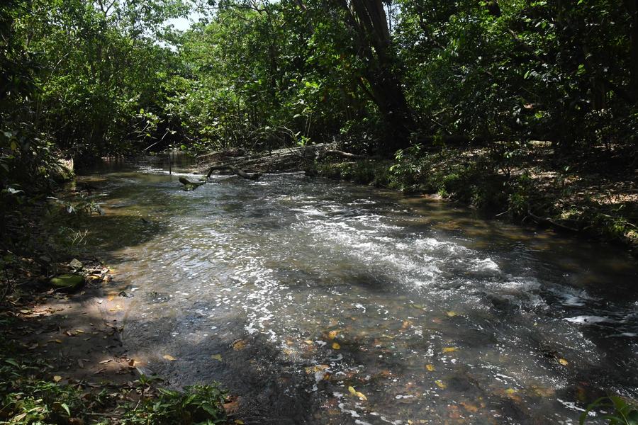 2025.09.18_RioJaguaribe_pontejardimbotanicoRobertoGuedes72.JPG