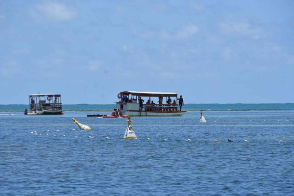 Ecoboias reforçam proteção de corais