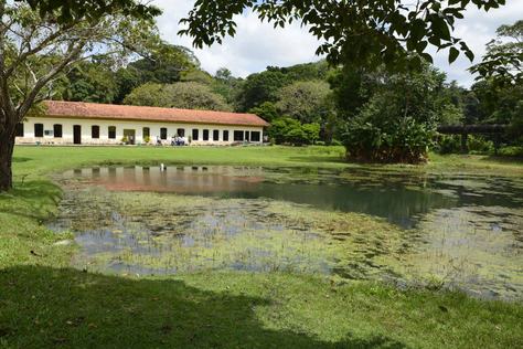 26-08-19_jardim-botanico-c-roberto-guedes-49.jpg