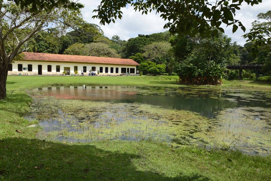 26-08-19_jardim-botanico-c-roberto-guedes-49.jpg