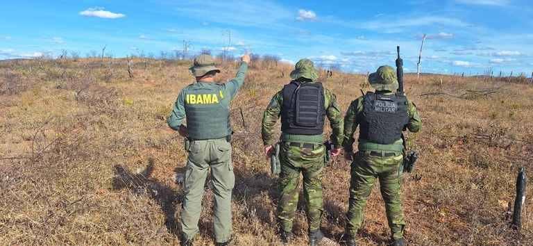 Ibama embarga 993 hectares na PB