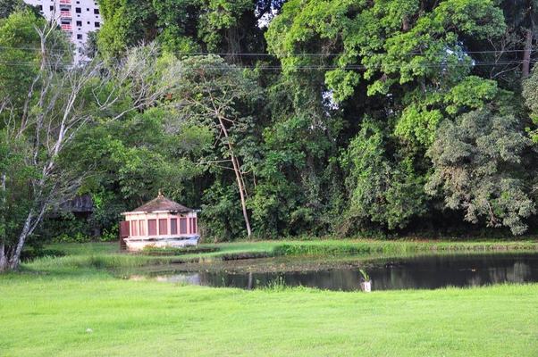 Projeto Férias no Jardim vai começar neste sábado
