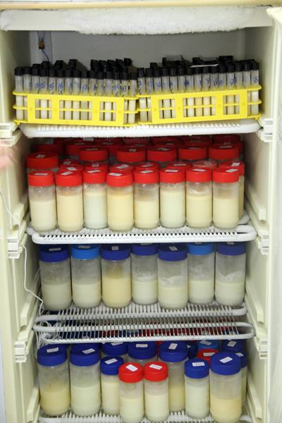 BancodeLeiteAnitaCabral_F.Evandro2.JPG