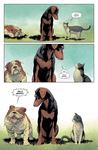 MI_AnimalPound3.jpg