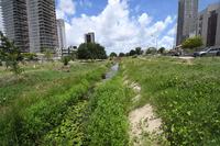 PARQUEPARAHYBA_F.EVANDRO30.JPG