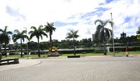 PalmeirasImperial_F.EvandroPereira1.JPG