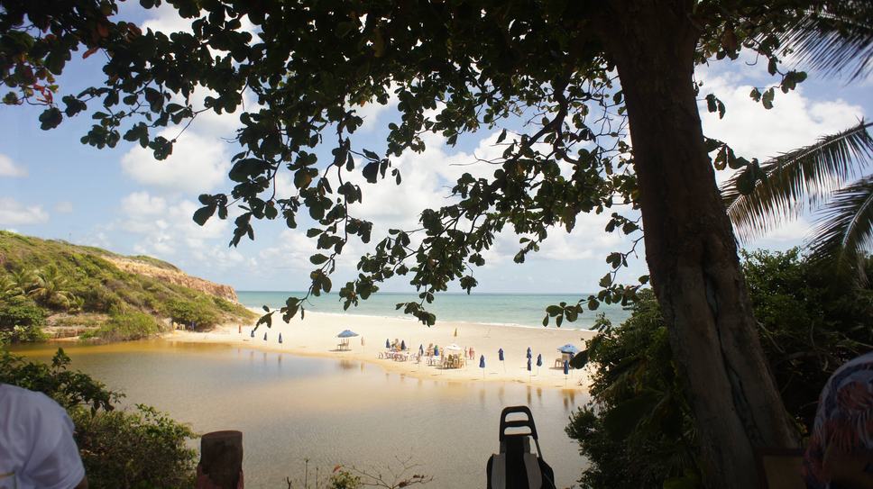 PitimbuFotoTeresaDuarte.JPG