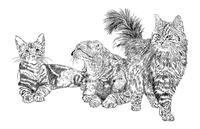 SidneyPhilocreonpartedeumncleodegatosdesenhadosdainstalao.jpg