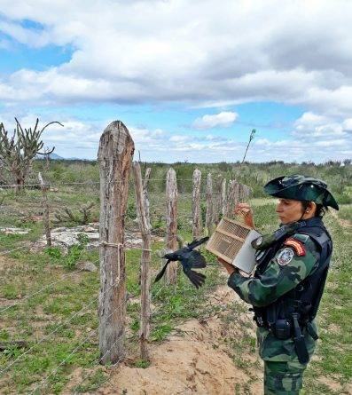 acao_ambiental-1-397x445-animais-silvestres-foto-secom-pb.jpeg