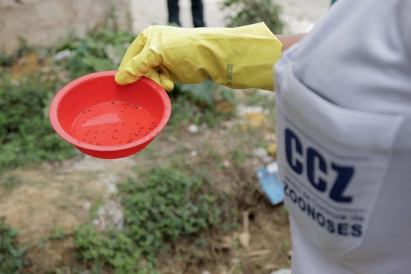 Paraíba tem o maior número de casos de zika do Brasil