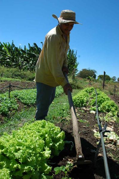 agricultura-24-08-07-mr-11.jpg