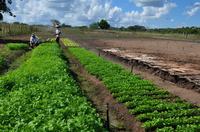 agricultura-c-divulgacao_secom-pb-1.jpeg