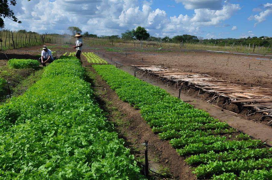 agricultura-c-divulgacao_secom-pb-1.jpeg