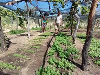agricultura-c-divulgacao_secom-pb.jpeg