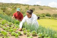 agricultura-c-jose-marques-secom-pb.jpg
