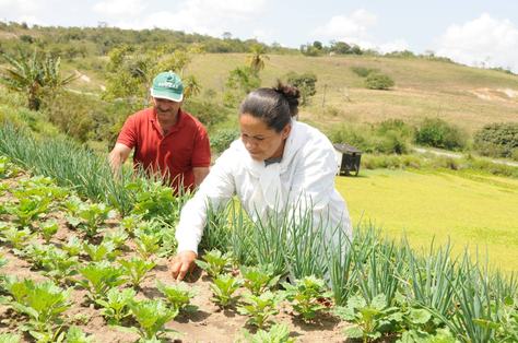 agricultura-c-jose-marques-secom-pb.jpg