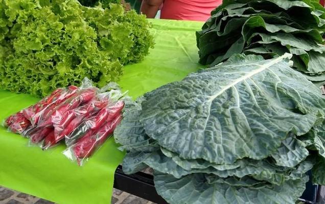 Empaer inaugura a 86ª feira da agricultura Familiar e comemora Dia do Agricultor