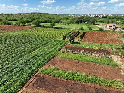 agropecuaria-sustentavel-divulgacao.jpg