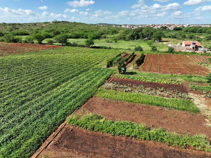 agropecuaria-sustentavel-divulgacao.jpg