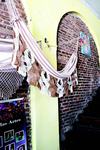 algodao_colorido-foto-edson_matos-83.jpg