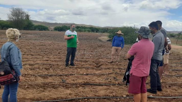 Algodão orgânico irrigado aponta perspectiva para o Cariri paraibano