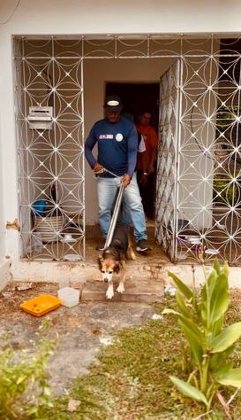 animal-1_secupa.jpg