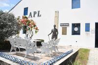 apl_eleicao-foto-edson_matos-1.jpg