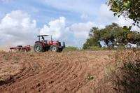 area-rural-conde-foto-marceli-souza-secomde.jpeg