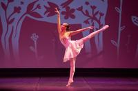 ballet-suellen-caroline.jpg