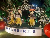 bananeiras-foto-teresa-duarte.jpg