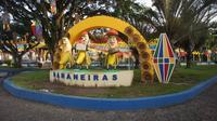 bananeiras-foto-teresa-duarte.jpg