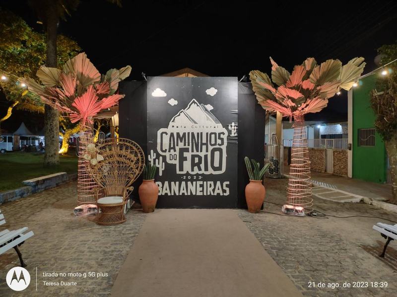 bananeiras-foto-teresa-duarte.jpg