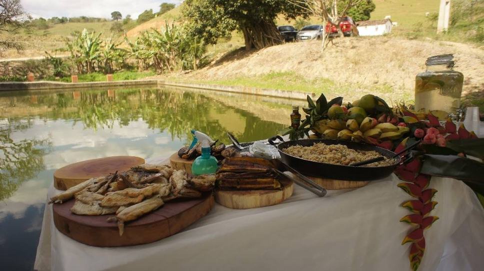 bananeiras-foto-teresa-duarte.jpg