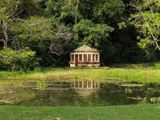 Jardim Botânico celebra aniversário com programação especial, no sábado